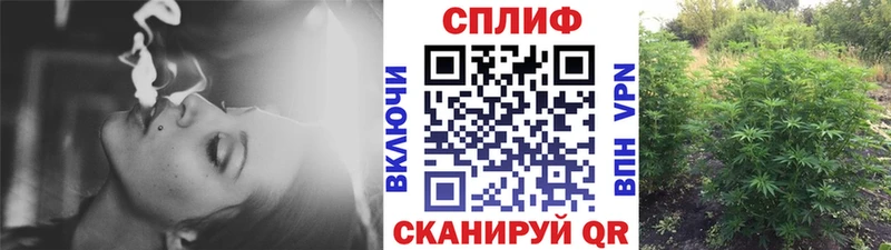Как найти закладки Нюрба ОМГ ОМГ зеркало ЭКСТАЗИ ГАШ МЕФ APVP