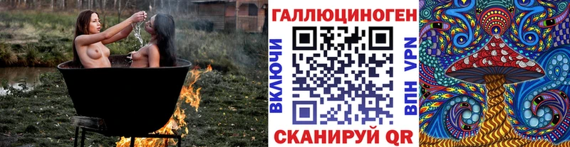 Галлюциногенные грибы Psilocybine cubensis Нюрба